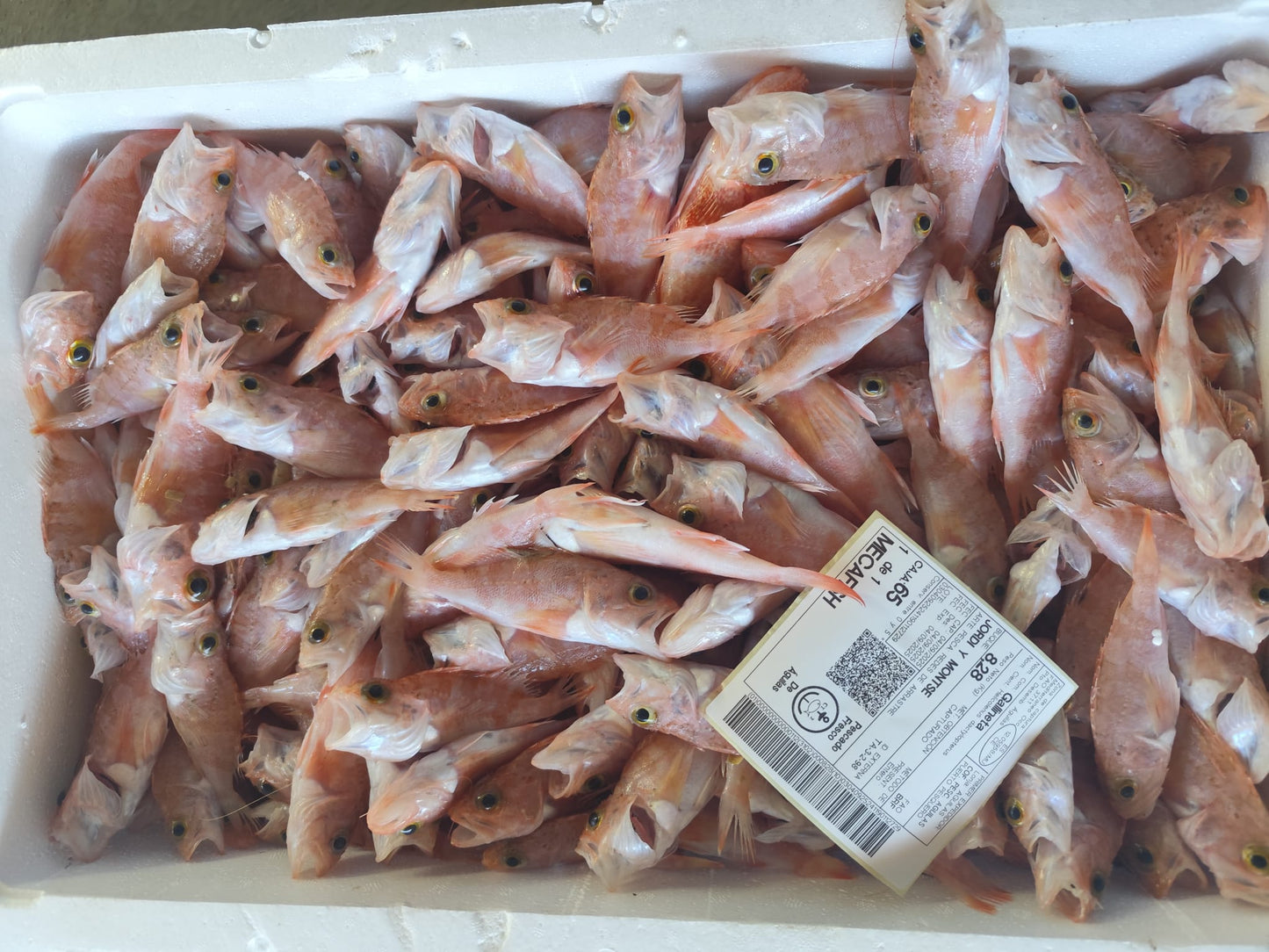 Pescado para Caldero